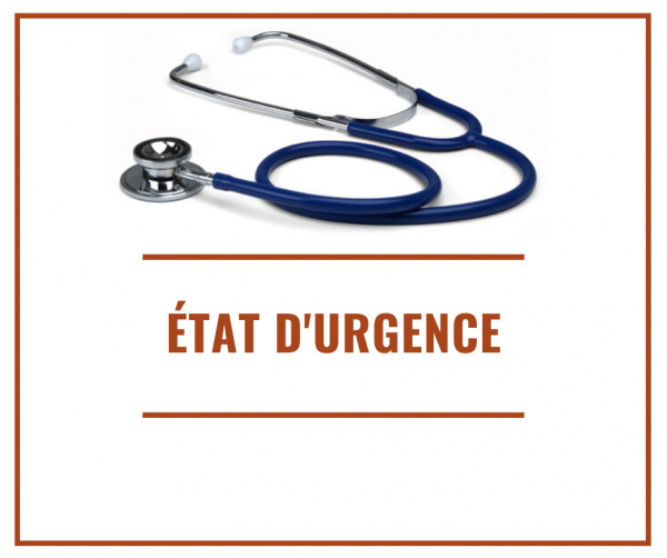 Mesures face au Coronavirus: Pas de confinement pour le moment, l&#039;état d&#039;urgence sanitaire déclaré pour 3 mois