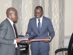 AfDB and FAO grant Togo a million dollars to fight fall armyworm invasion