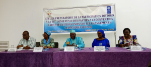 Togo : ultime rencontre pr&eacute;paratoire avant la COP28 &agrave; Duba&iuml;