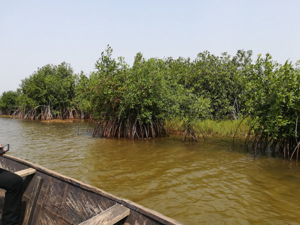 WACA Resip: depuis Anyronkopé, opération sauvetage du lac Boko-Zowla