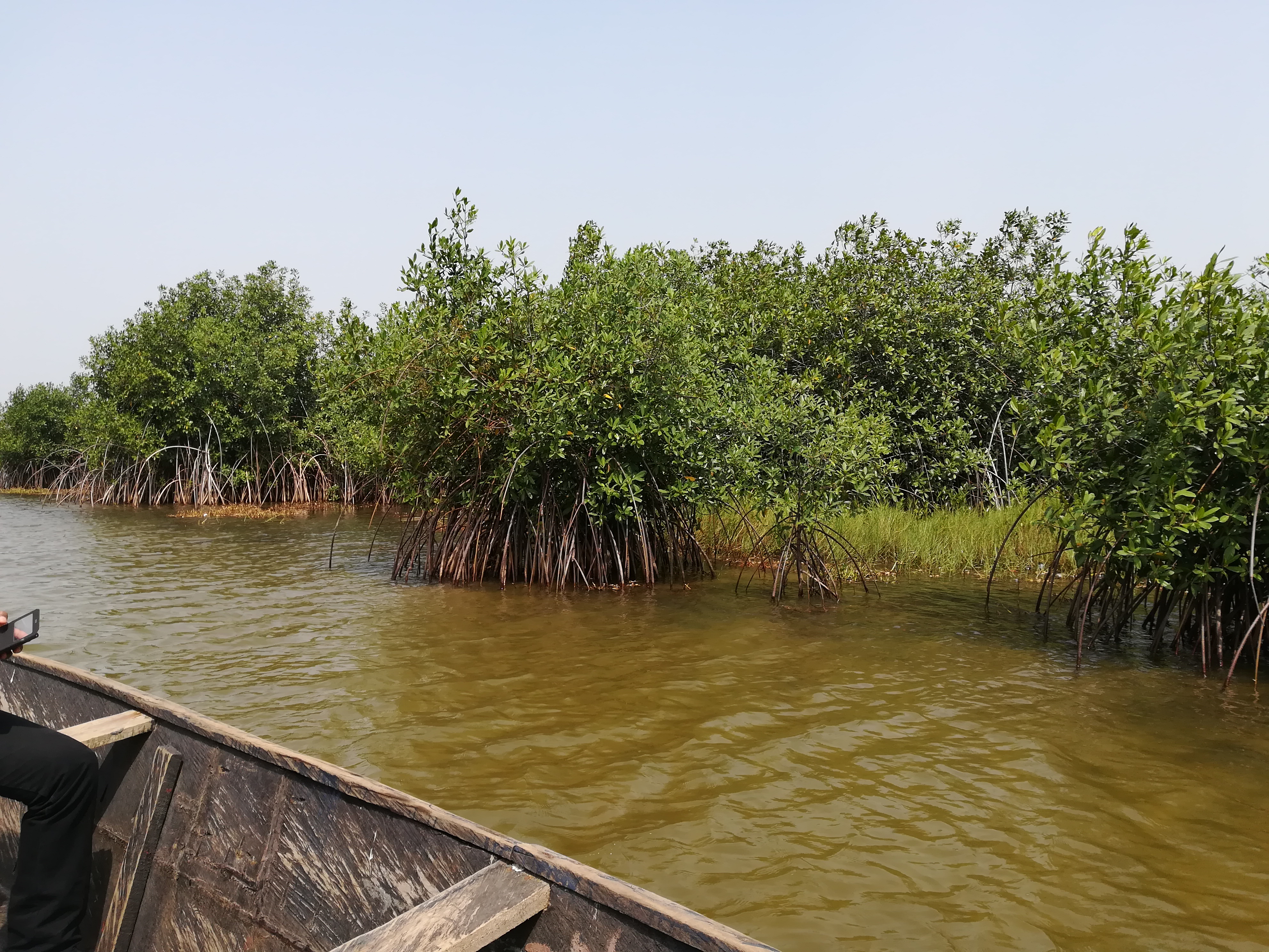 WACA Resip: depuis Anyronkopé, opération sauvetage du lac Boko-Zowla