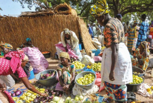 Le Togo et le B&eacute;nin lancent un programme d'int&eacute;gration de leurs march&eacute;s agricoles transfrontaliers