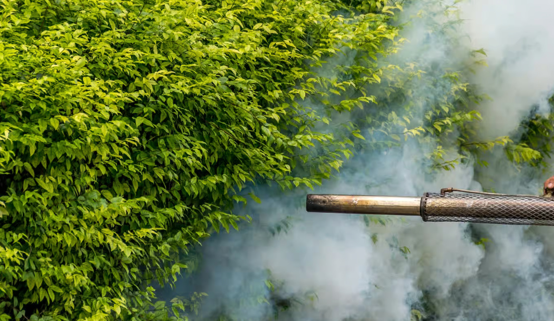 Polluants organiques persistants : le Togo veut se mettre à jour vis-à-vis de la Convention de Stockholm