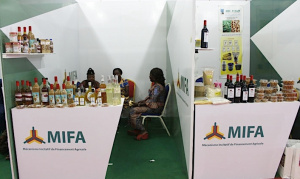 Togo : le MIFA devient une soci&eacute;t&eacute; anonyme