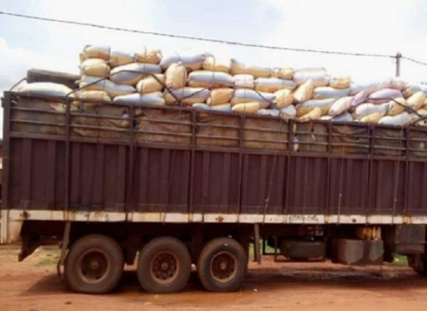 Exportation illégale de produits vivriers : saisie d’une cargaison à Sokodé
