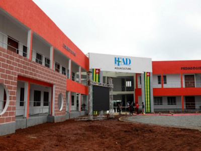 togo-le-recrutement-dans-les-ifad-proroge-au-13-septembre-2024