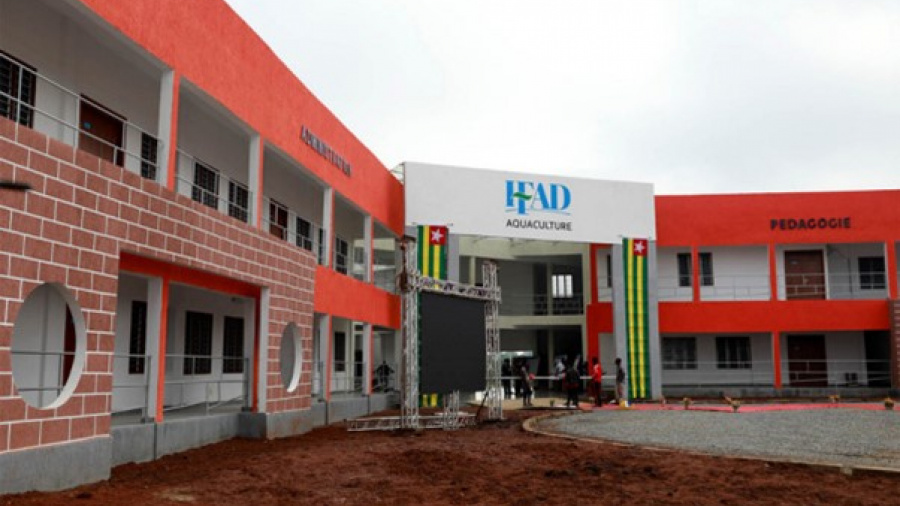Togo : le recrutement dans les IFAD prorogé au 13 septembre 2024