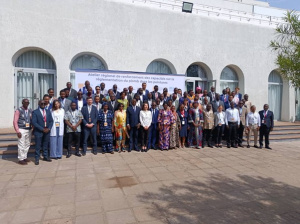 A Lom&eacute;, mobilisation de 23 pays africains pour durcir la r&eacute;glementation sur la peinture au plomb