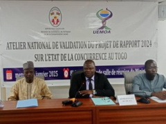 Togo: The 2024 State of Competition Report Under Assessment