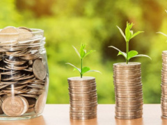 Togo&#039;s chamber of trade and industry is in the process of setting an investment and guarantee fund for SMEs and SMIs