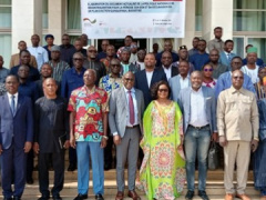 Togo: New 2024-2034 Decentralization Strategy Validated