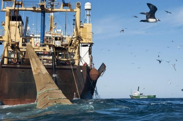 Togo and Benin recently carried out a joint operation to fight illegal fishing