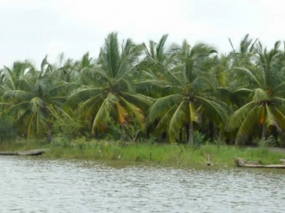 togo-benin-le-bassin-du-mono-au-coeur-d-une-strategie-de-developpement-durable
