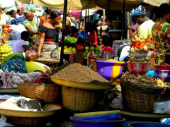 Togolese economy shows resilience but concerns remain