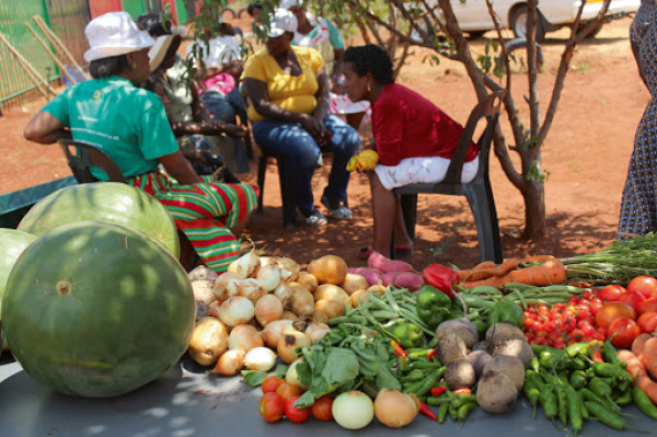 Togo : la mauvaise conservation des fruits et légumes coûte 46 milliards FCFA