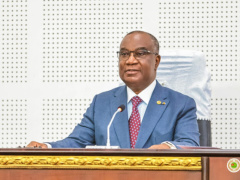 Togo: Parliament ends extraordinary session, adopts four bills