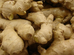Ginger: Togo has great, yet undertapped, potential