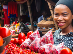 Togo: Inflation keeps lmproving (INSEED)