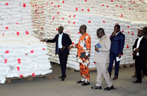 Togo Gets 1,625-Ton Rice Shipment From Japan for Vulnerable Households