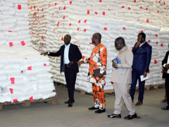 Togo Gets 1,625-Ton Rice Shipment From Japan for Vulnerable Households