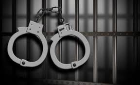 Togo: douze mois de prison dont 3 avec sursis pour deux trafiquants d’ivoire