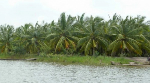 Togo-Benin Launch $5 Million Sustainable Development Strategy for Mono River Basin