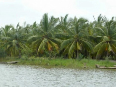 togo-benin-launch-5-million-sustainable-development-strategy-for-mono-river-basin