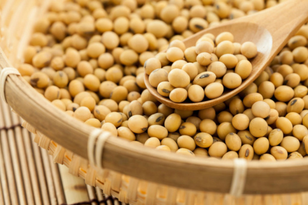 Exports of soybean from the recent campaign generated CFA 50 billion for Togo