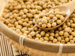 Exports of soybean from the recent campaign generated CFA 50 billion for Togo