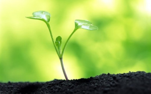 Le projet de d&eacute;veloppement des agropoles contribuera &agrave; r&eacute;duire le d&eacute;ficit commercial du Togo de (44%) &agrave; (38%)