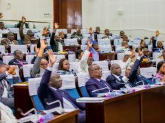 Security and Civil Protection: Togo Passes New Intelligence Law