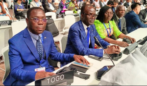 Cop28 : le Togo recherche 6 milliards de dollars pour sa r&eacute;silience climatique