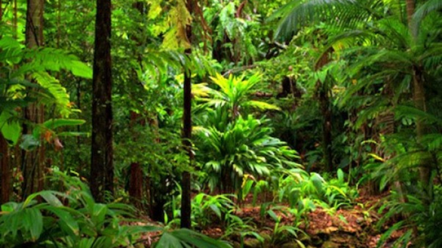 Protection de l’environnement : le Togo crée une cellule nationale de veille climatique