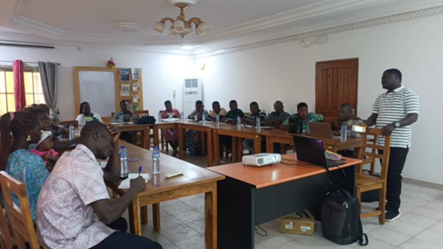 Togo : bient&ocirc;t l&rsquo;enr&ocirc;lement des acteurs des fili&egrave;res ananas, ma&iuml;s, soja, mangue et manioc