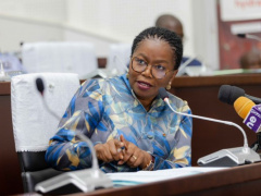 Togo Achieves Significant Progress in 2025 Roadmap Implementation