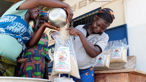 La Banque mondiale met en avant les Femmes vaillantes d’Anié, une Coopérative de productrices de riz étuvé de qualité supérieure