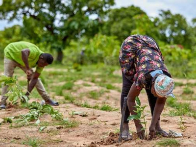land-restoration-fao-opens-call-for-proposals-with-grants-of-up-to-50-000