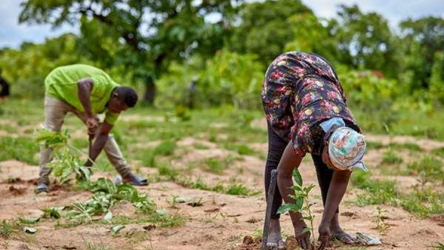 land-restoration-fao-opens-call-for-proposals-with-grants-of-up-to-50-000
