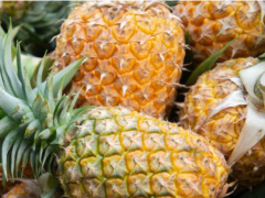 Togo Greenlights CFA9.5 billion Plan to Develop its Pineapple Industry