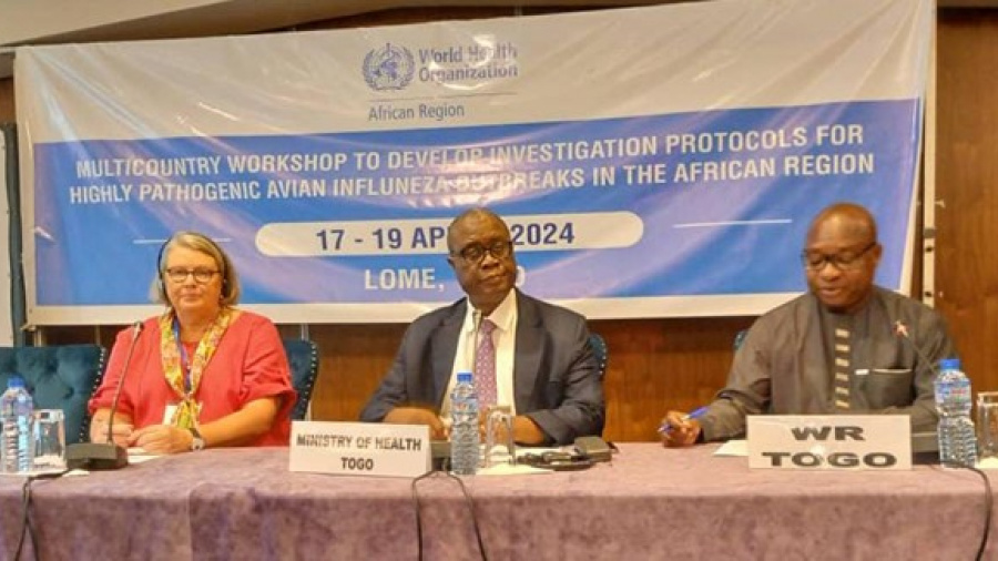 Lutte contre la grippe aviaire : à Lomé, des pays africains cherchent des solutions