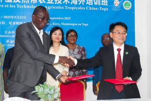Togo : une acad&eacute;mie chinoise se positionne pour booster la fili&egrave;re rizicole