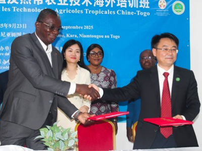 togo-une-academie-chinoise-se-positionne-pour-booster-la-filiere-rizicole
