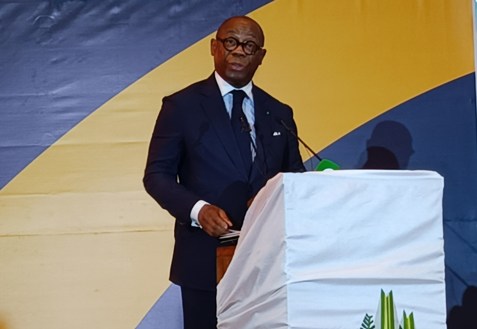 en-5-ans-la-boad-a-injecte-plus-de-300-milliards-fcfa-dans-l-economie-togolaise
