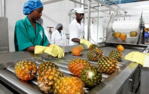 Agro-alimentaire : la HAUQE forme des experts nationaux aux normes internationales de qualit&eacute;&nbsp; &nbsp; &nbsp; &nbsp; &nbsp; &nbsp; &nbsp; &nbsp; &nbsp; &nbsp; &nbsp; &nbsp; &nbsp; &nbsp; &nbsp; &nbsp; &nbsp; &nbsp;