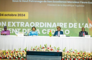 Depuis Lom&eacute;, le Parlement de la CEDEAO veut adopter un budget 2025-2027 contraignant