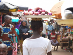 In Togo, informal sector contributes 20-30% of GDP – IMF (report)