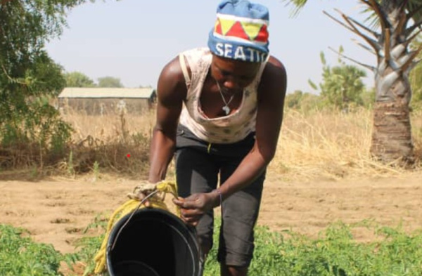Blitta : un projet de 574 millions FCFA pour l&rsquo;emploi des jeunes et l&rsquo;adaptation climatique