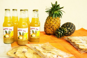 Agriculture : apr&egrave;s 10 ans de d&eacute;ploiement au Togo, le ProDRA en chiffres