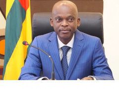 Togolese authorities set up estival agenda to boost the diaspora’s contribution to national development