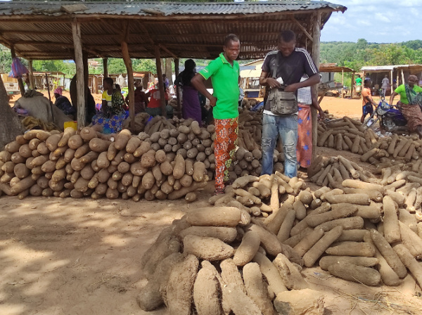 Togo: More than 940,000t of yam was produced in the 2020-2021 campaign